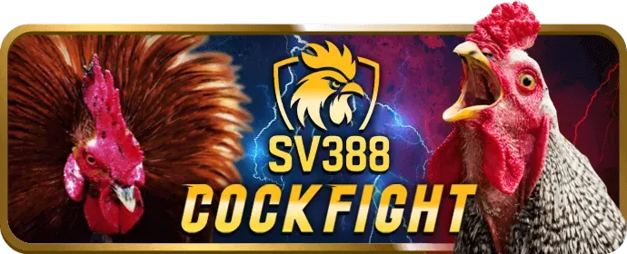 Ưu đãi nạp tiền hằng ngày hcm66 bet